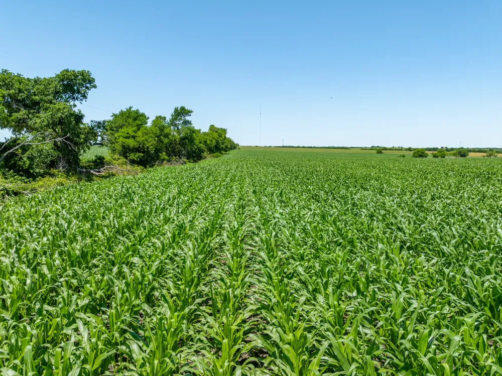 Cr 451 Bruceville Eddy, TX 76524