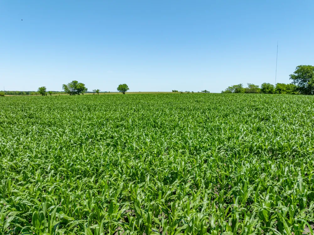 Cr 451 Bruceville Eddy, TX 76524
