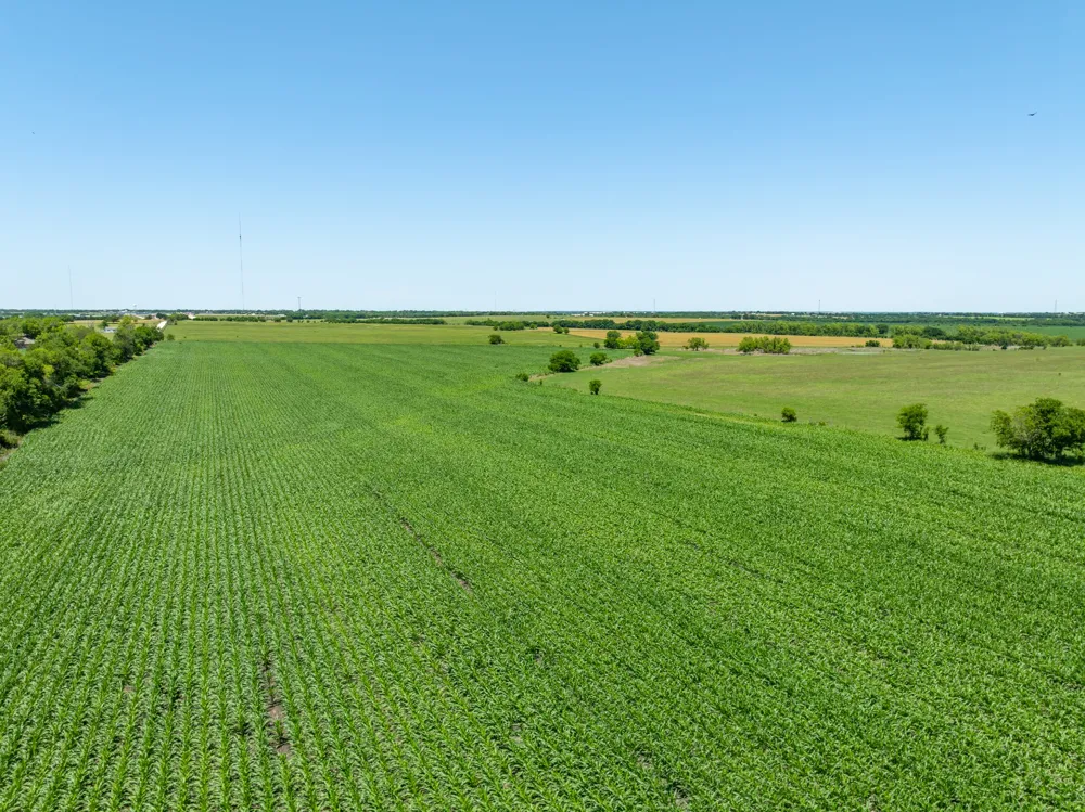 Cr 451 Bruceville Eddy, TX 76524