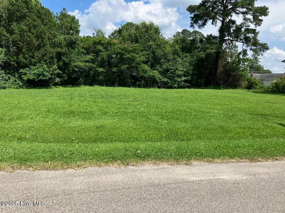 0 Pitt Street Grimesland, NC 27837