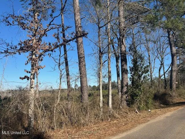 Robert Jones Road Summit, MS 39666