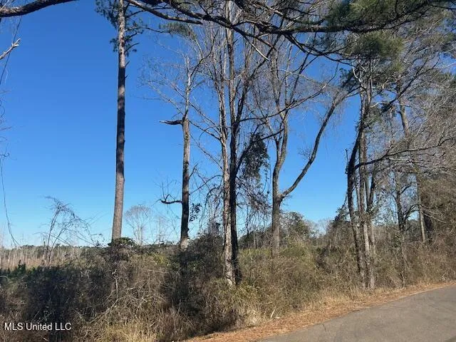 Robert Jones Road Summit, MS 39666