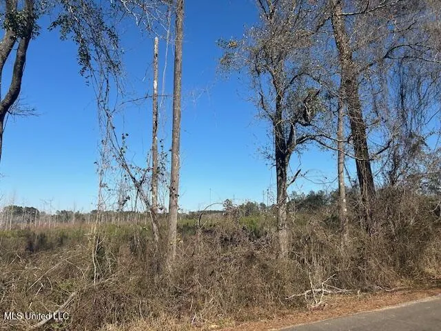 Robert Jones Road Summit, MS 39666
