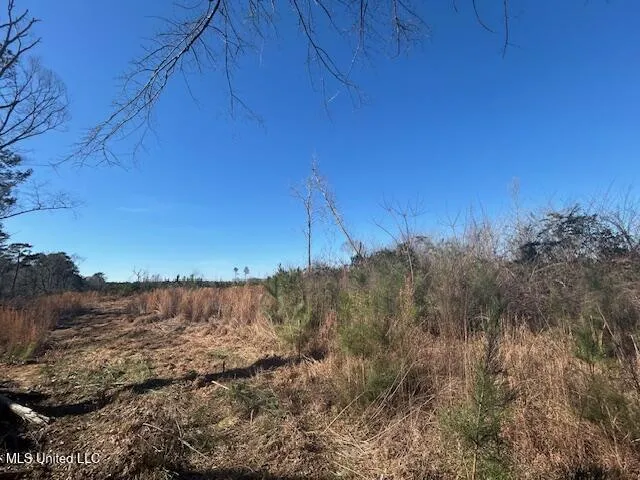 Robert Jones Road Summit, MS 39666