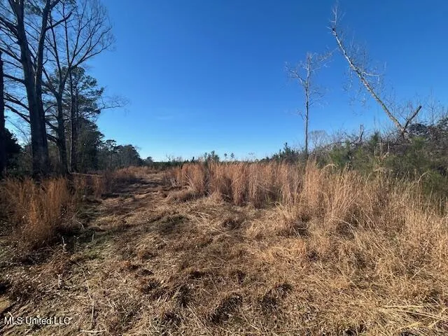 Robert Jones Road Summit, MS 39666