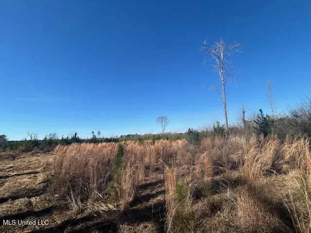Robert Jones Road Summit, MS 39666