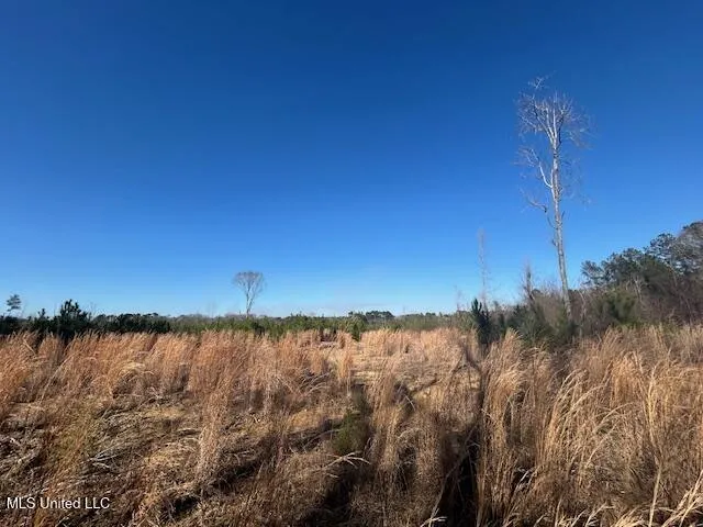 Robert Jones Road Summit, MS 39666