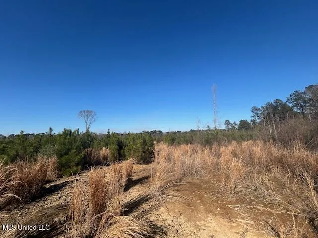 Robert Jones Road Summit, MS 39666