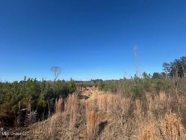 Robert Jones Road Summit, MS 39666