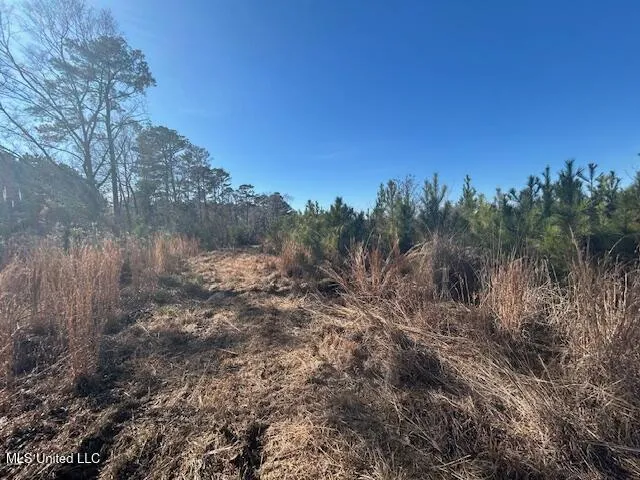 Robert Jones Road Summit, MS 39666