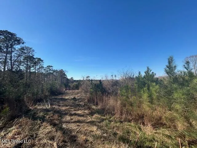 Robert Jones Road Summit, MS 39666