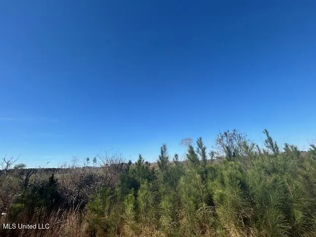 Robert Jones Road Summit, MS 39666