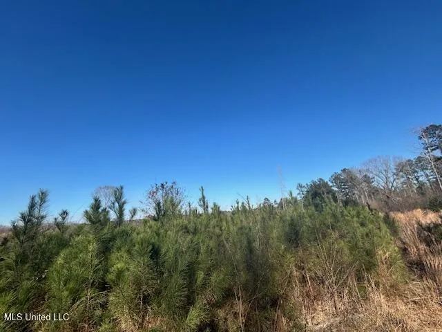 Robert Jones Road Summit, MS 39666