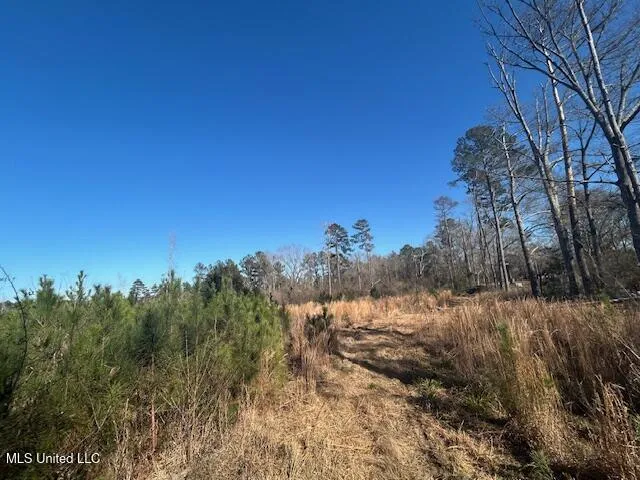 Robert Jones Road Summit, MS 39666