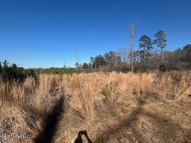 Robert Jones Road Summit, MS 39666