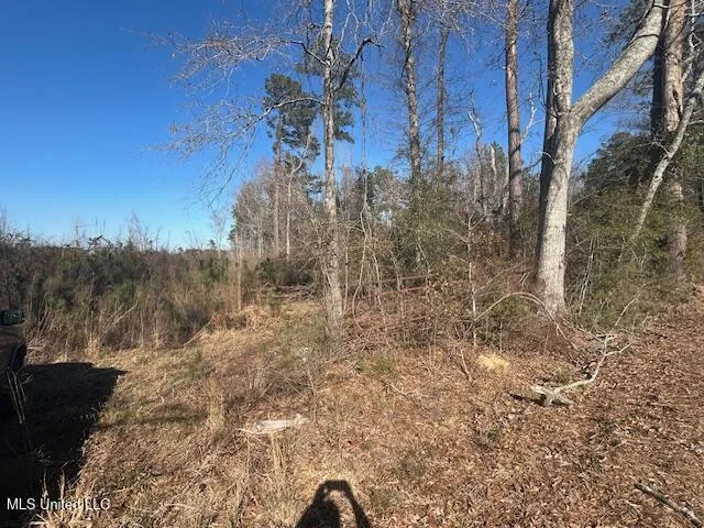 Robert Jones Road Summit, MS 39666