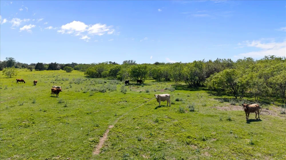 3628 S Highway 304 Rosanky, TX 78953