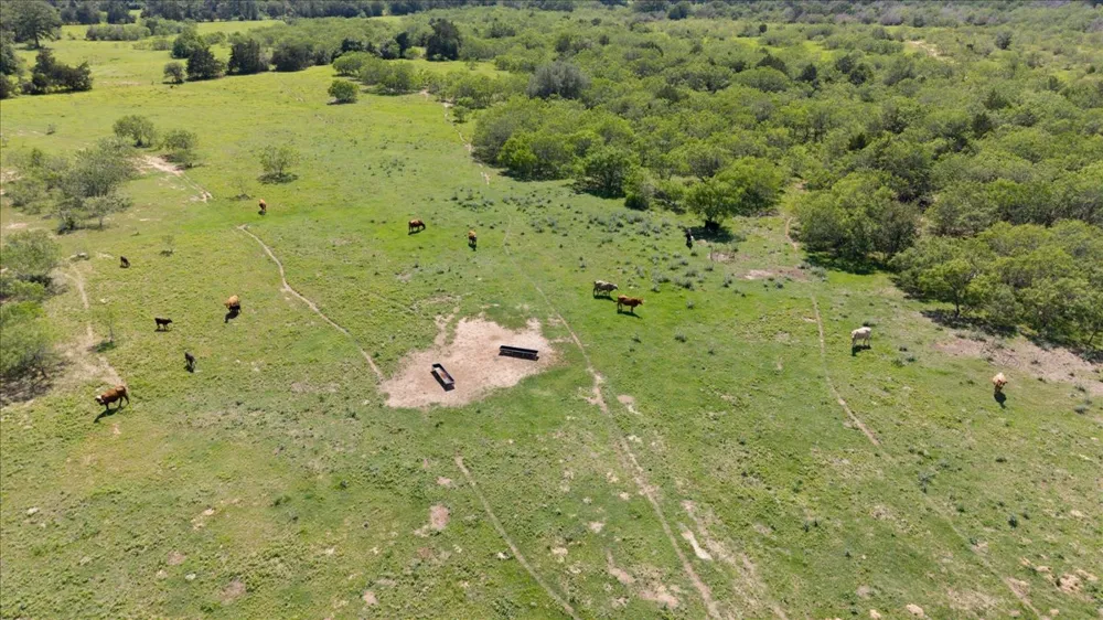 3628 S Highway 304 Rosanky, TX 78953