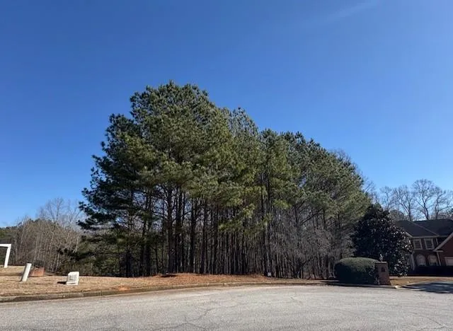 4290 Bronte Lane Douglasville, GA 30135