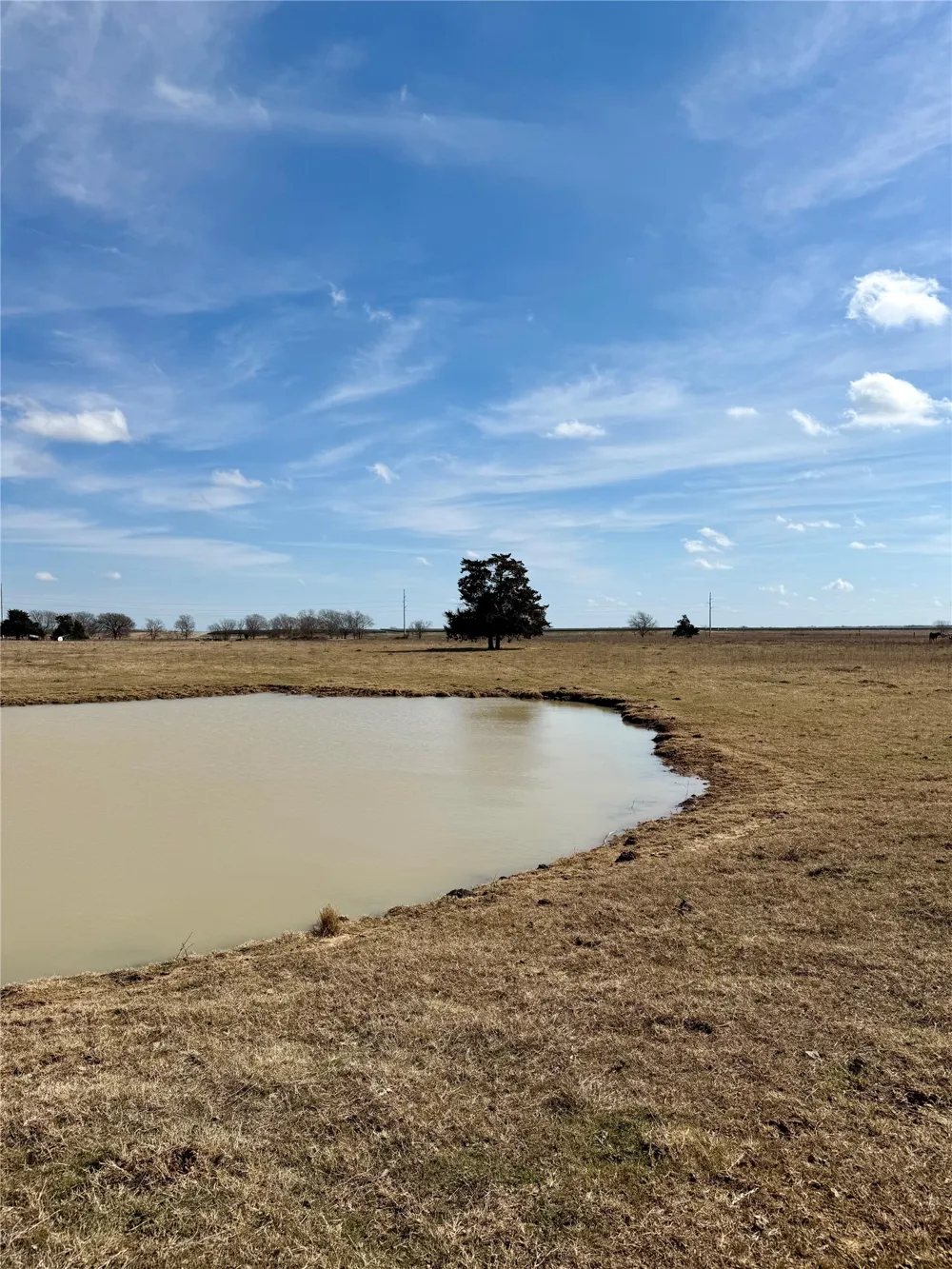County Road 656 Thornton, TX 76687