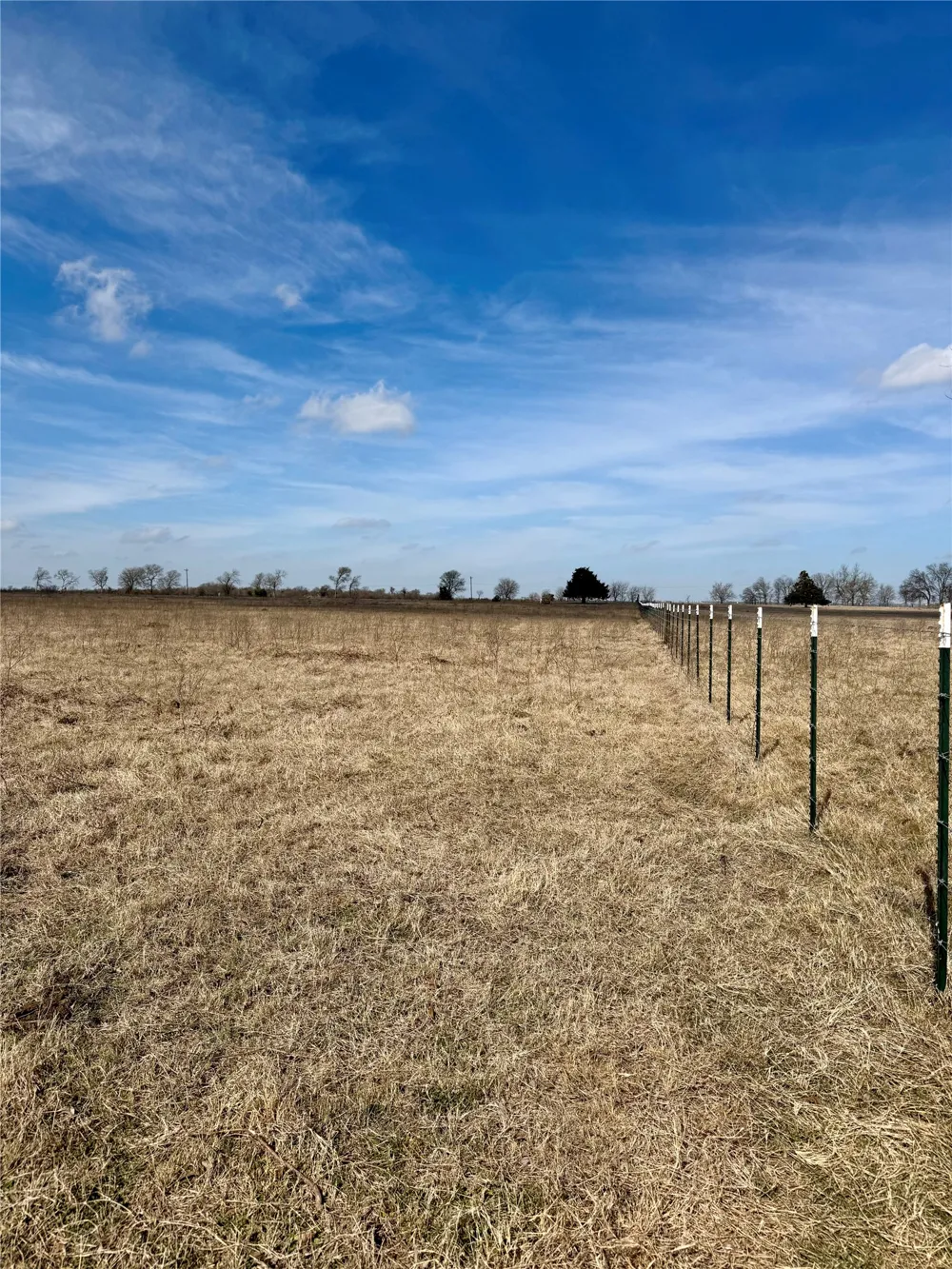 County Road 656 Thornton, TX 76687