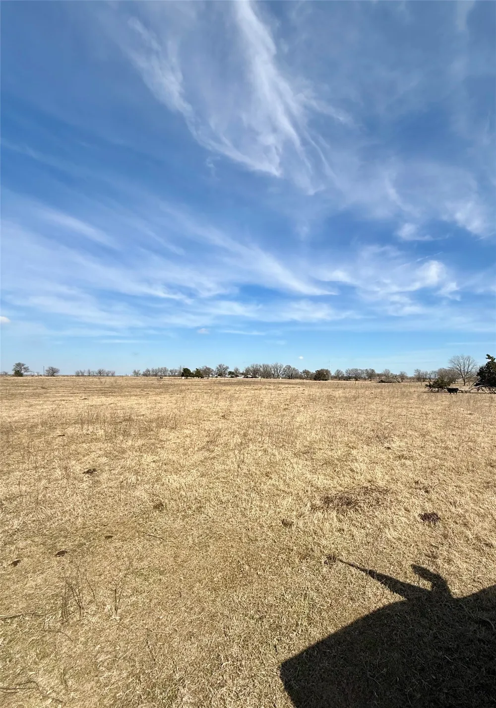 County Road 656 Thornton, TX 76687