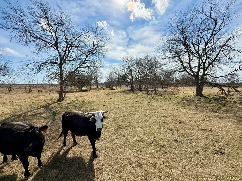County Road 656 Thornton, TX 76687