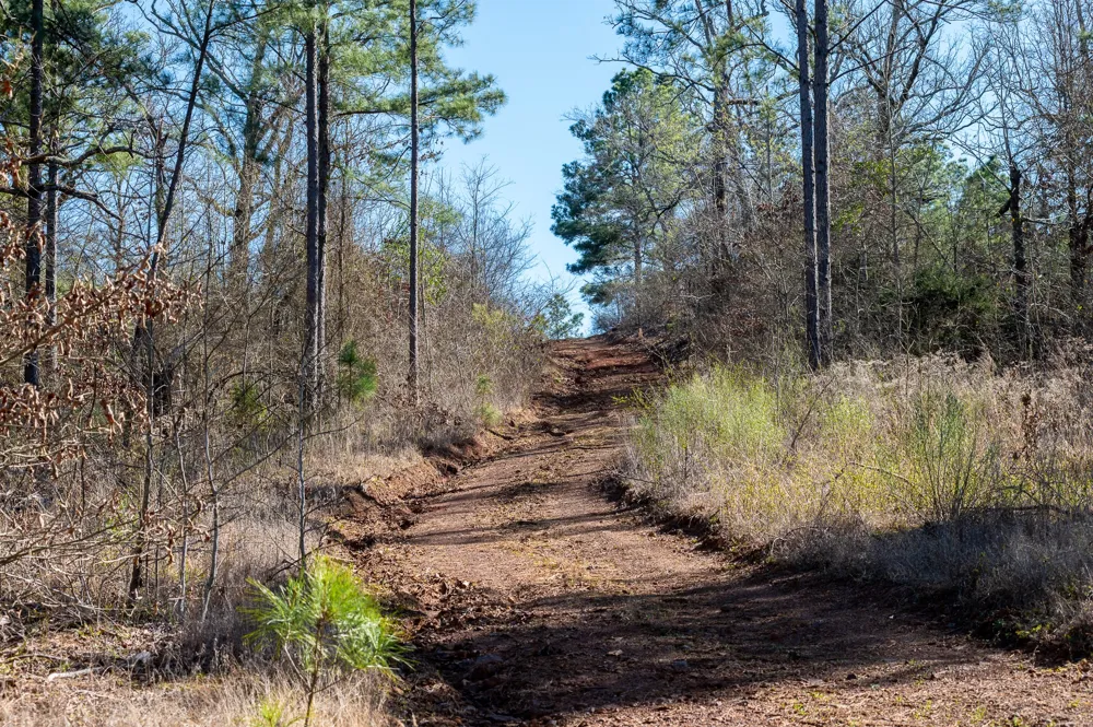 State Highway 64 Ben Wheeler, TX 75754