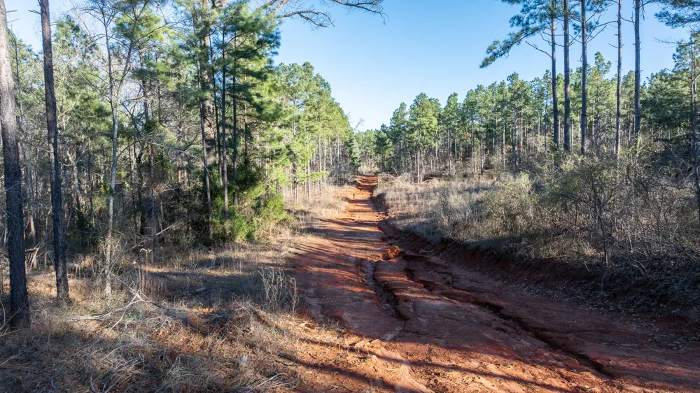 State Highway 64 Ben Wheeler, TX 75754