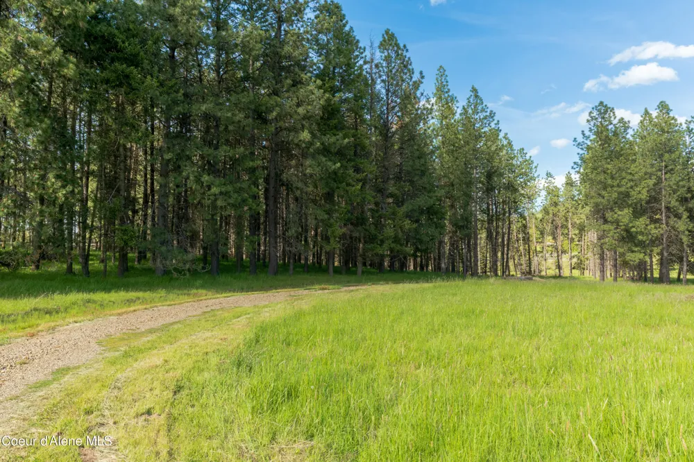 Highway 97 Harrison, ID 83833