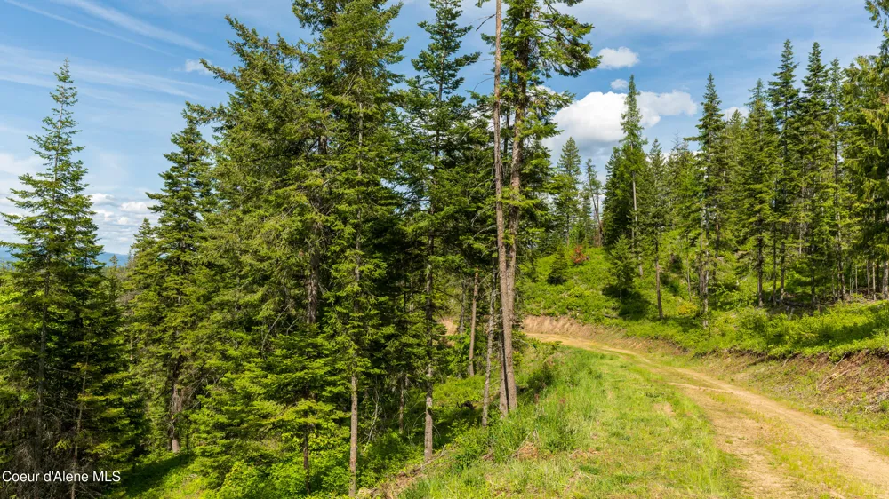 Highway 97 Harrison, ID 83833