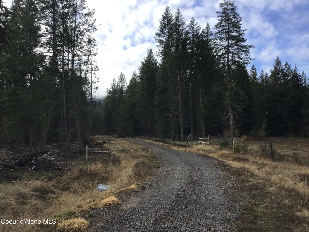 Highway 97 Harrison, ID 83833