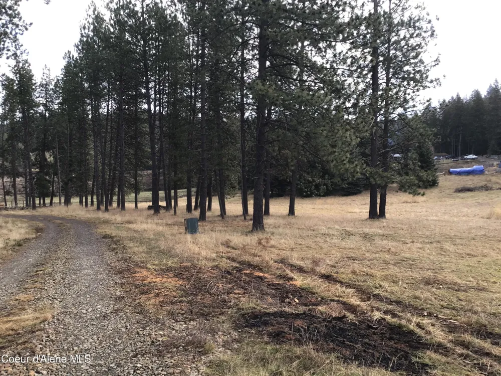 Highway 97 Harrison, ID 83833