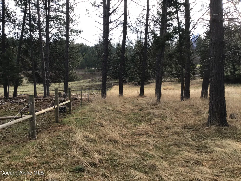 Highway 97 Harrison, ID 83833