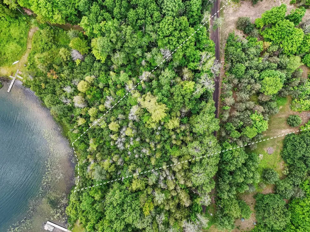 Harris Point Trail Almira Township, MI 49650