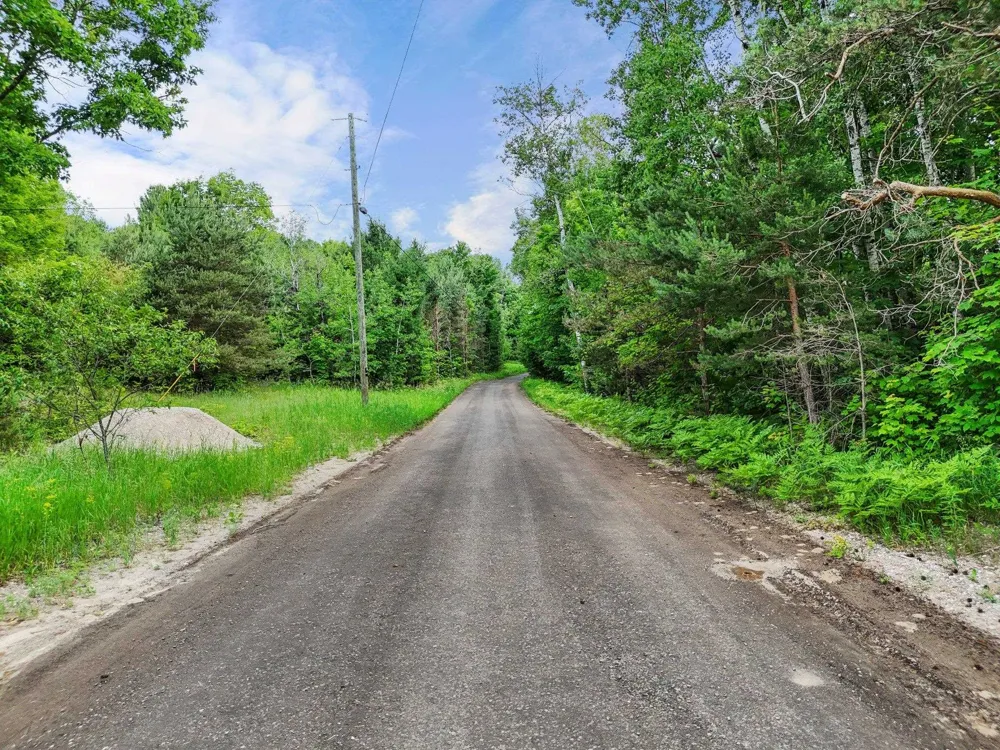 Harris Point Trail Almira Township, MI 49650