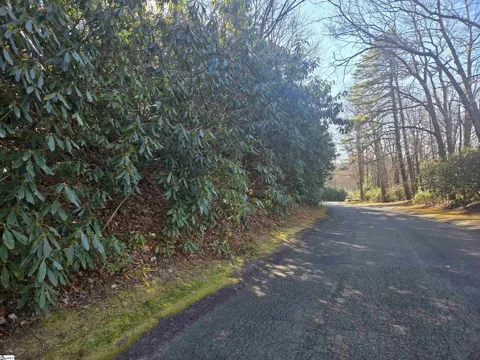 616 Cliff Ridge Drive