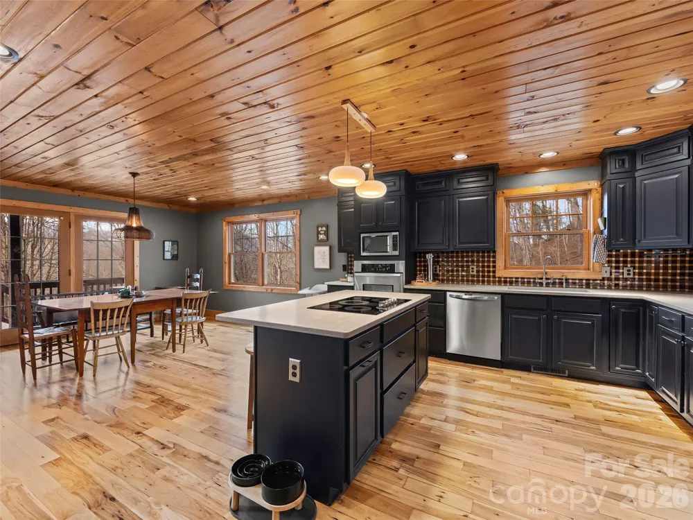 110 Mailon King Road Leicester, NC 28748