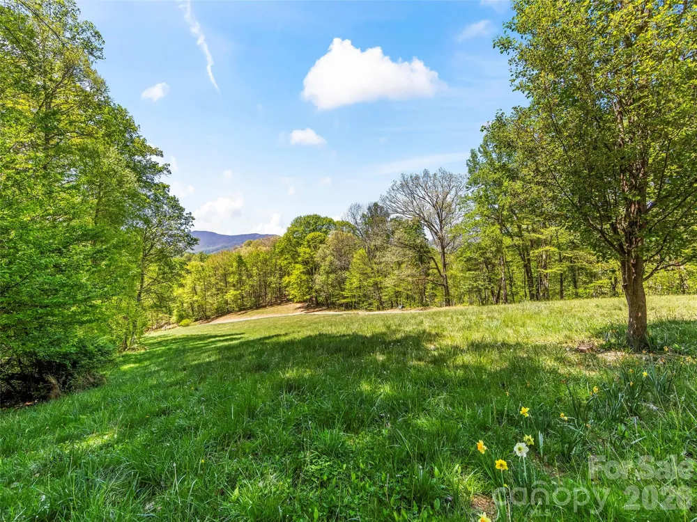 110 Mailon King Road Leicester, NC 28748