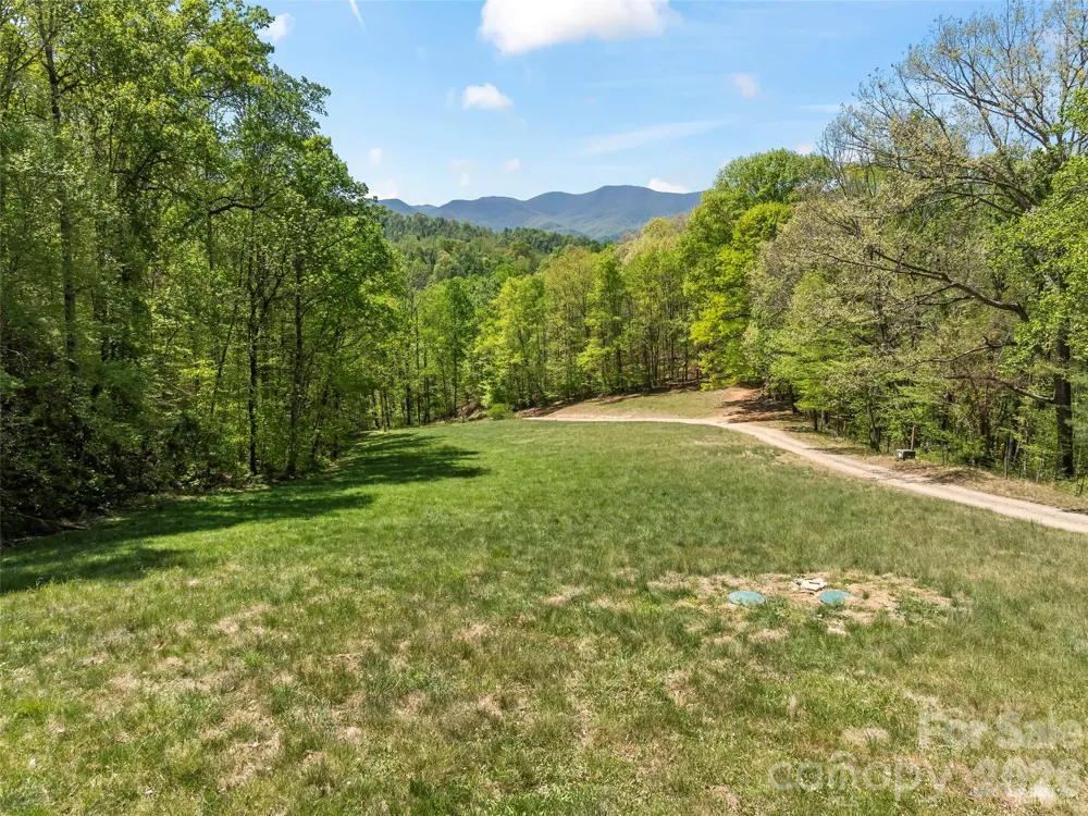 110 Mailon King Road Leicester, NC 28748