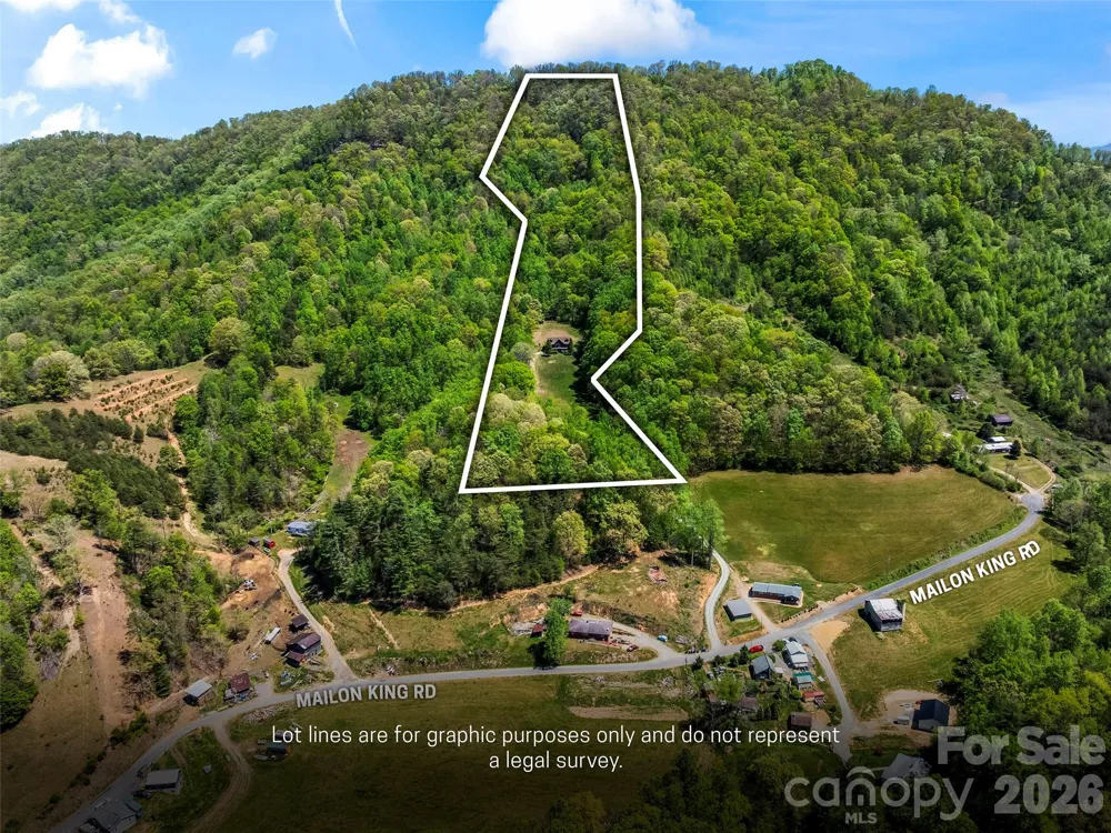 110 Mailon King Road Leicester, NC 28748