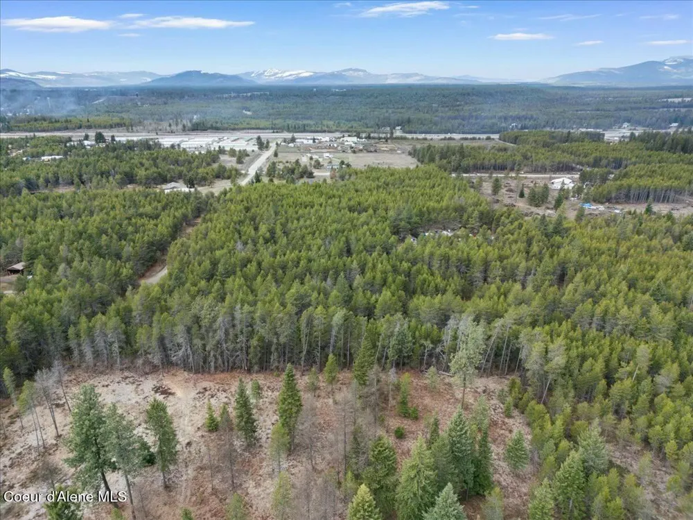 NKA E Trinity Ln Athol, ID 83801