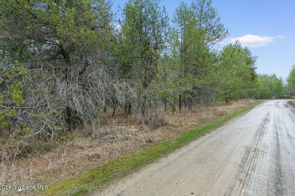 NKA E Trinity Ln Athol, ID 83801