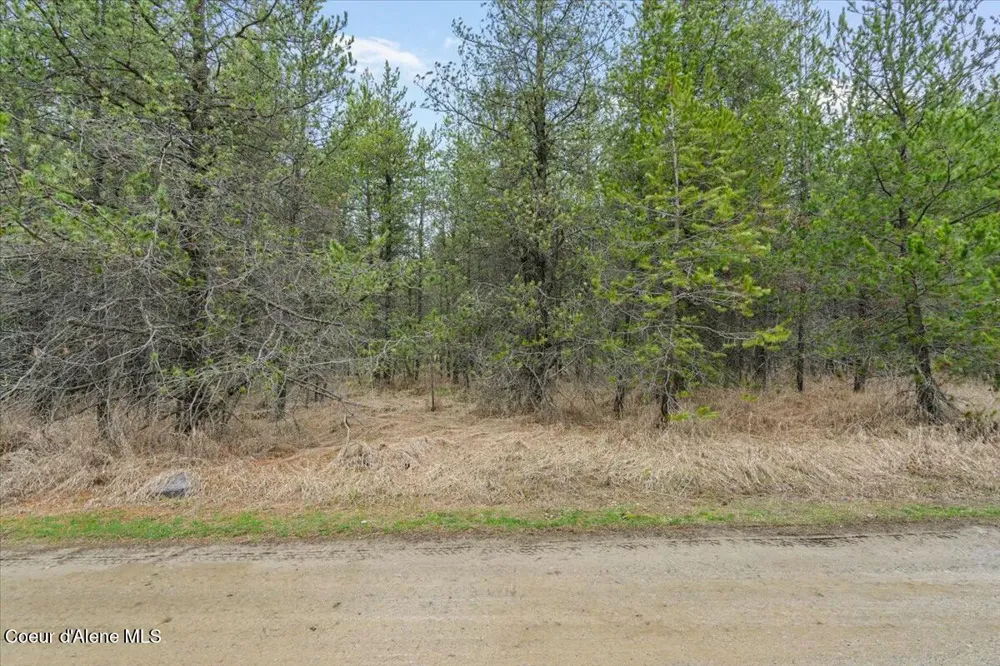 NKA E Trinity Ln Athol, ID 83801