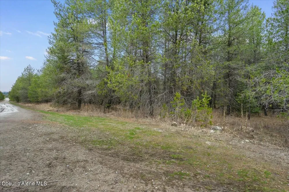 NKA E Trinity Ln Athol, ID 83801