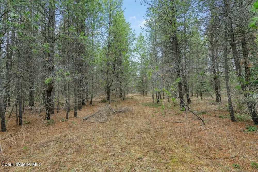 NKA E Trinity Ln Athol, ID 83801