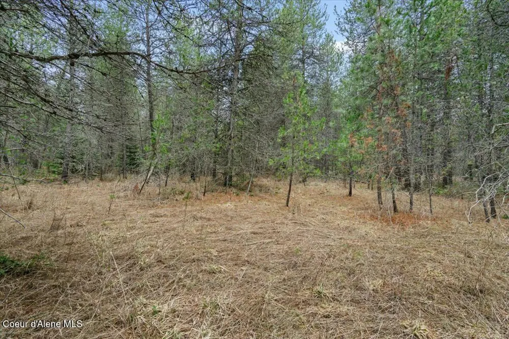 NKA E Trinity Ln Athol, ID 83801