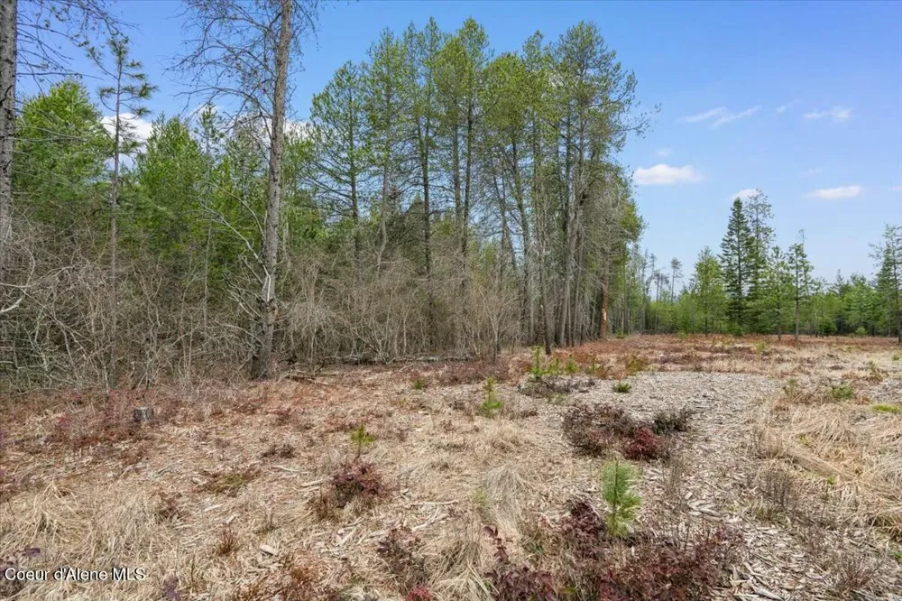 NKA E Trinity Ln Athol, ID 83801