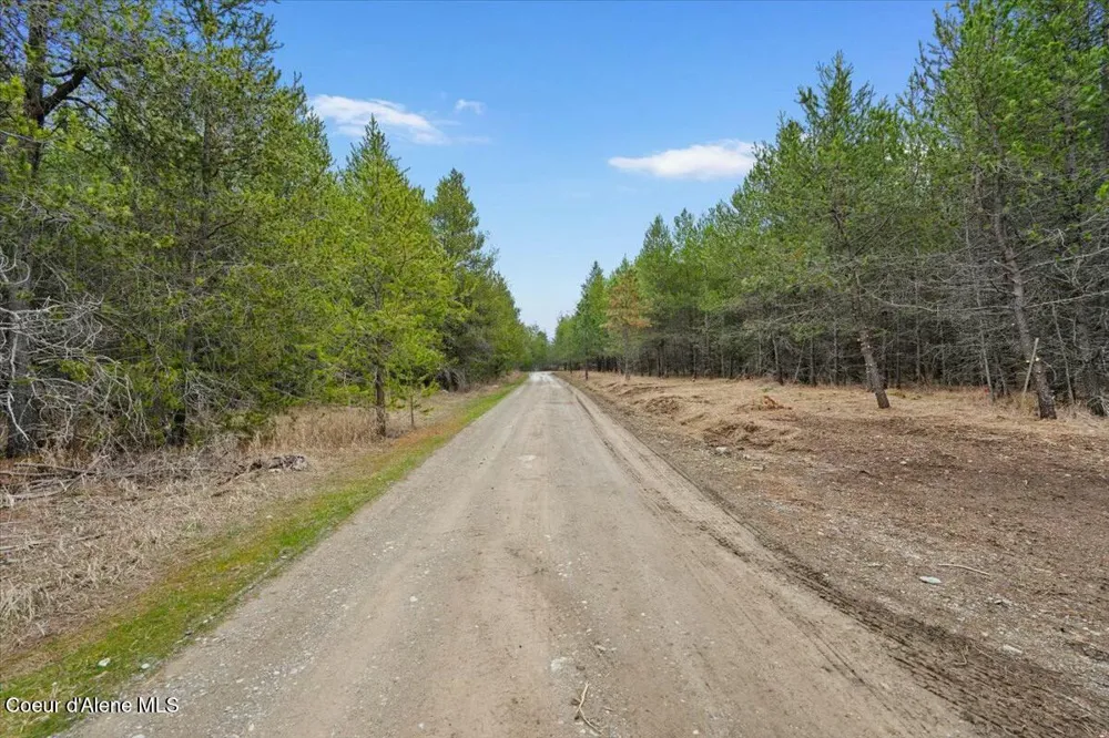 NKA E Trinity Ln Athol, ID 83801