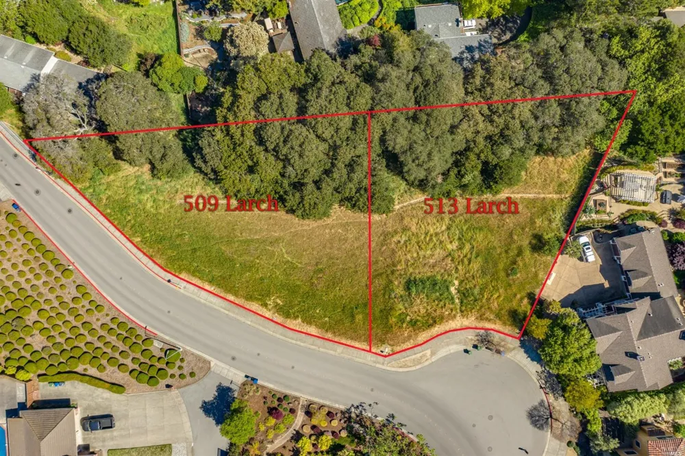513 Larch Drive Petaluma, CA 94952